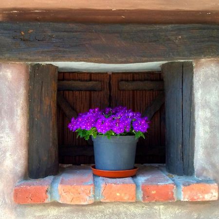 Casa Rural El Cotu En Onís 外观 照片