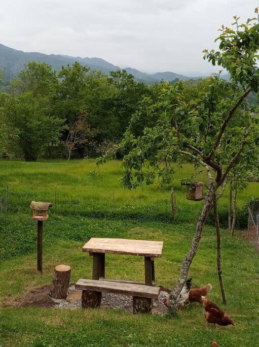 Casa Rural El Cotu En Onís 外观 照片