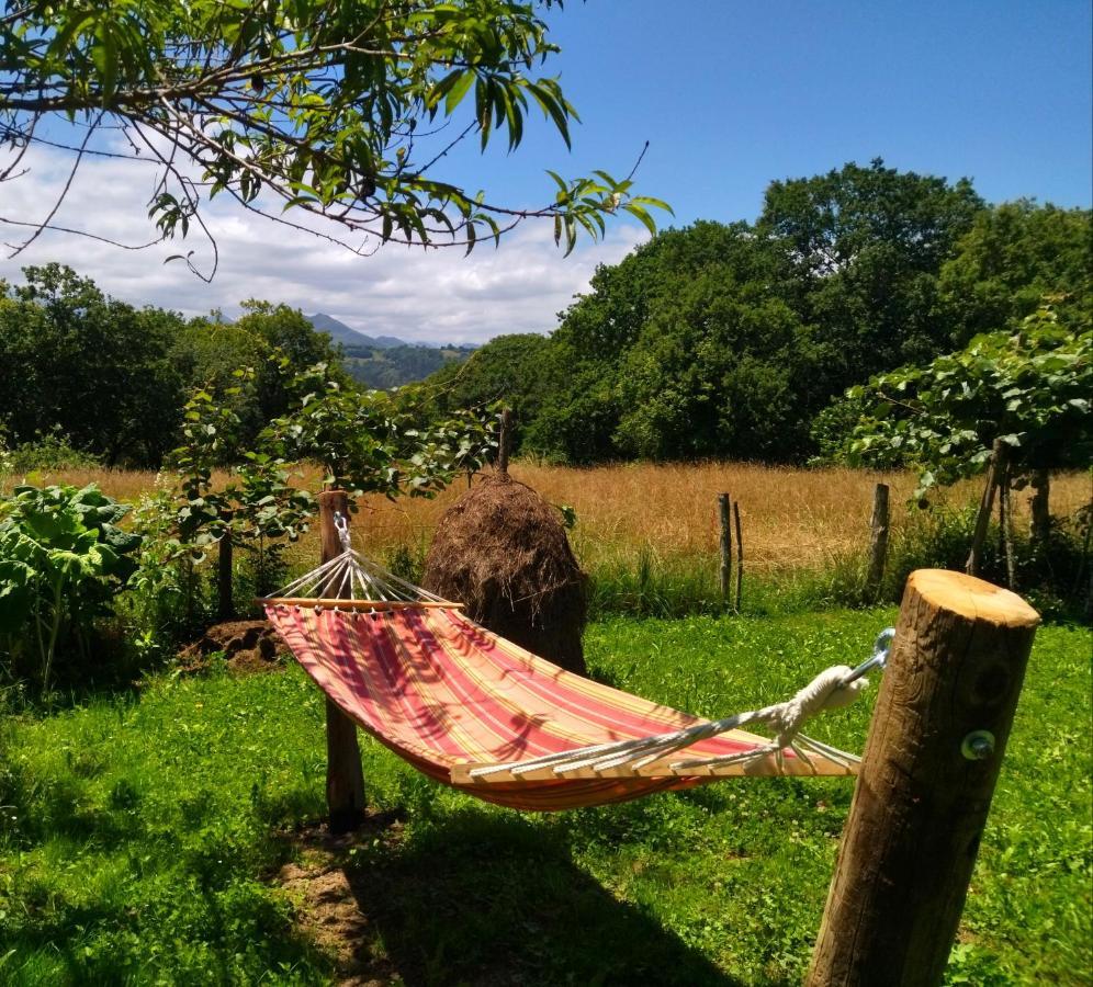Casa Rural El Cotu En Onís 外观 照片