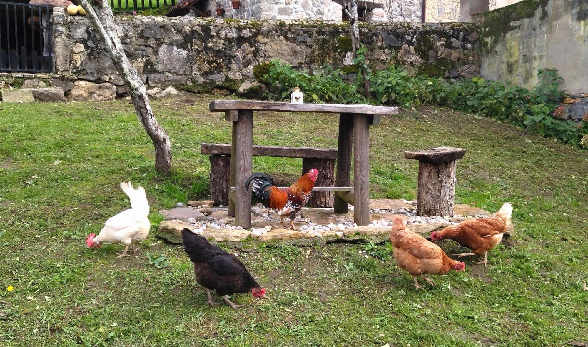 Casa Rural El Cotu En Onís 外观 照片